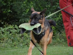 01.07.2023 offenes training 24
